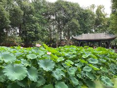 -宝光寺