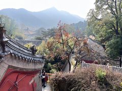 -潭柘寺景区