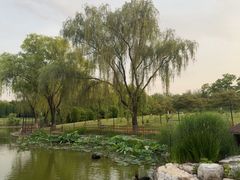 -燕郊植物园