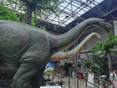 -国家自然博物馆