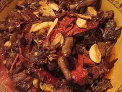 -柴窝堡22号辣子鸡·传承新疆菜