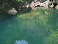 -白云源风景区