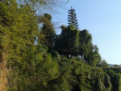 -芙蓉镇景区