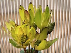 -雕刻时光咖啡馆(北苑店)