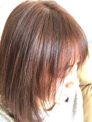 -NanFeng TONY STUDIO