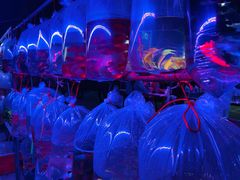 -华声天桥民俗文化园