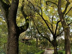 -汇龙潭