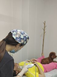 -安徽合肥韩美整形外科医院