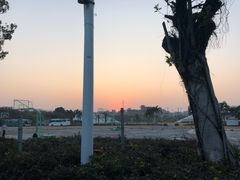 -西北狼(GOGO新天地店)
