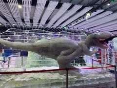 -宁波冰雪大世界(北仑区)