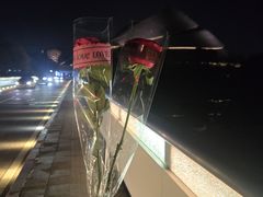-哈尔滨大剧院