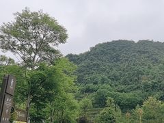 -娄山关景区