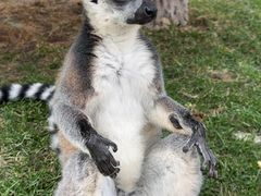 -沈阳森林动物园