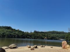 -深圳仙湖植物园