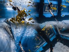 -海棠湾