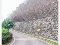 -小南山公园