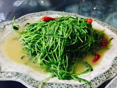 iphone_upload_pic-白家寨子·山野白族菜(古城总店)