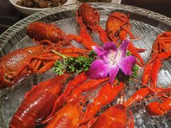 -京悦南门涮羊肉·羊蝎子火锅(田林路店)