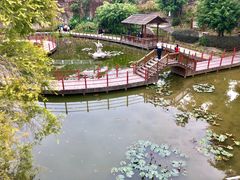 -珠海圆明新园
