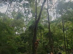 -黔灵山公园-南门售票处