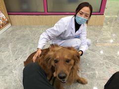 -全心全意连锁动物医院(石景山店)
