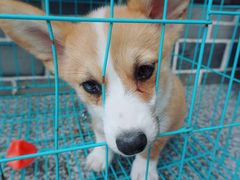 -贵阳蓬莱仙界