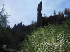 -峡谷浮石林景区