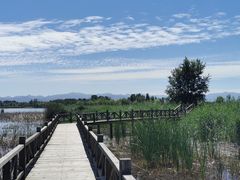 -野鸭湖国家湿地公园