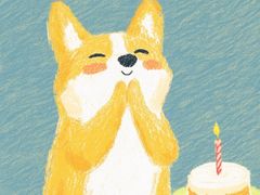 -爱达乐面包生日蛋糕(十陵成大店)