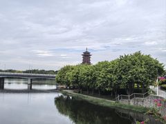 -厦门园林博览苑