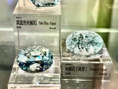 -中国地质博物馆