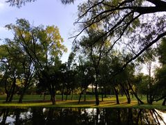 -上海共青森林公园