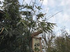-崇阳三特浪口温泉
