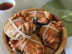 正宗阳澄湖大闸蟹-乡乐园蟹庄·阳澄湖农家乐