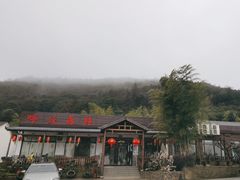 -呼吸森林·生态农庄农家乐私房菜