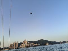 -星海广场