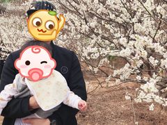 -广州市流溪河国家森林公园