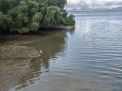 -深圳湾公园(南山区)