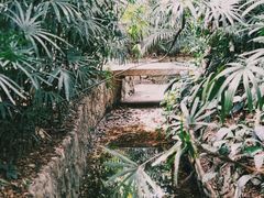 -广州兰圃
