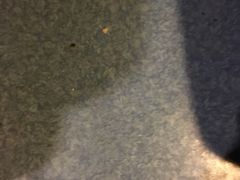 -中影国际影城(建军路金鹰购物中心店)