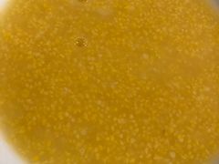 -石饮红星包子(中山路店)
