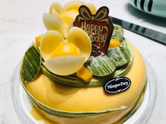 -哈根达斯(西安北郊店)