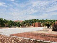 -中加枫华国际学校