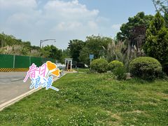 -白鹭湾湿地公园