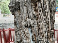-北京国子监胡同