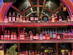 -Darling Queen·Mini·Live·House