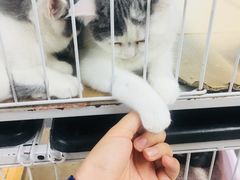 -米卢宠物公园(广华居店)