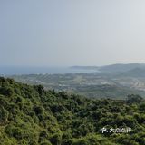 怕回不来，只能去森林公园溜达溜达了，门票好贵