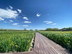 -永定河休闲森林公园
