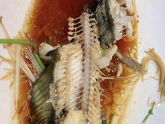 -中苑海韵